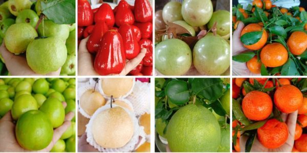TP Fruit - Trái Cây Gọt Sẵn - Hoàng Ngọc Phách