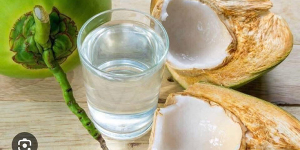 Tâm - Dừa Tươi Bến Tre - Bùi Điền