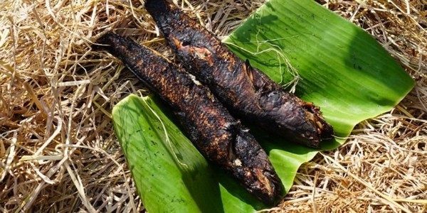 Lục Vân Tiên - Cá Lóc Đồng Nướng Rau Răm