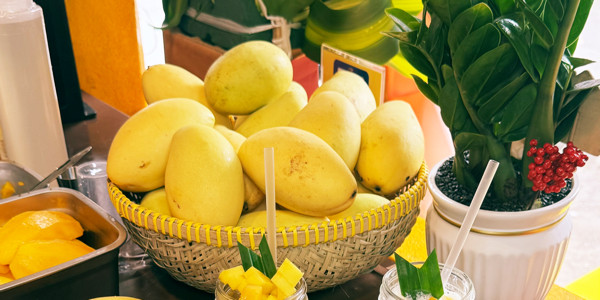 XOÀI CHU - Xôi Xoài, Chè Xoài & Yourt Xoài - 1B Lê Viết Lượng