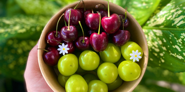 Trái Cây Tươi Mix Nấm Fruits