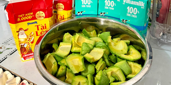 Bamala Bơ Già Dừa Non