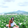 Thảo Vũ