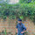 Nguyen Tien Minh