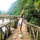 Thảo Thương