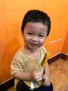 Hoang