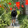 Nguyễn Bá Hưng