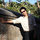 Hieu Dinh